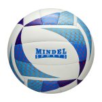 SPORTS BALLS